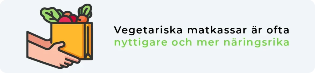 Nyttiga vegetariska matkassar